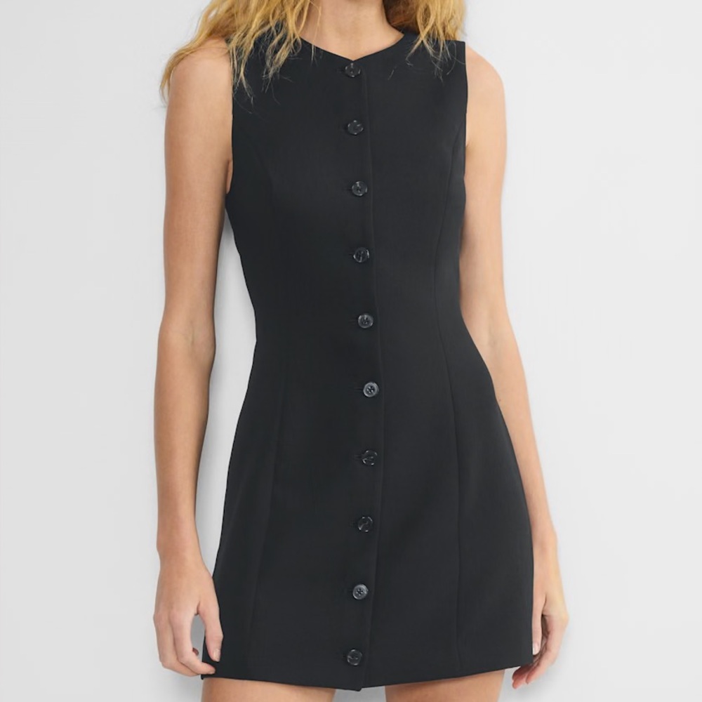 Aritzia Wilfred Regal Dress Crepette size 2